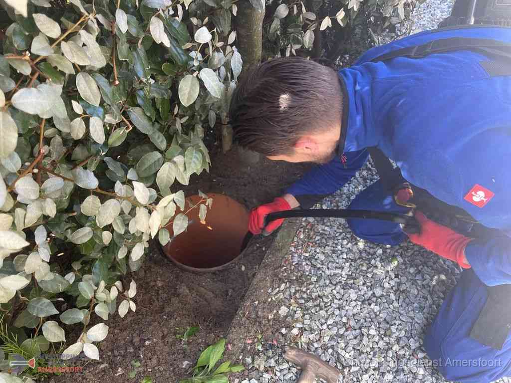 Rioolvliegjes Amersfoort Rioolvliegjes Amersfoort